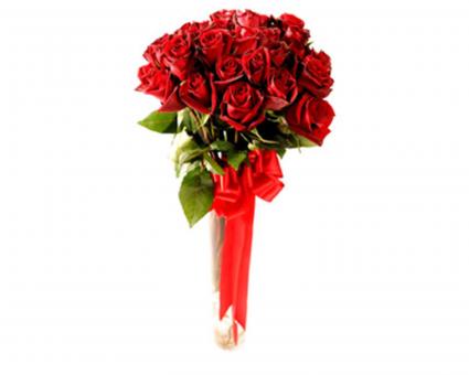 TUPIARA DE ROSAS COLOMBIANAS